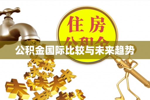 漠河公积金国际比较与未来趋势
