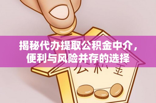 漠河揭秘代办提取公积金中介，便利与风险并存的选择