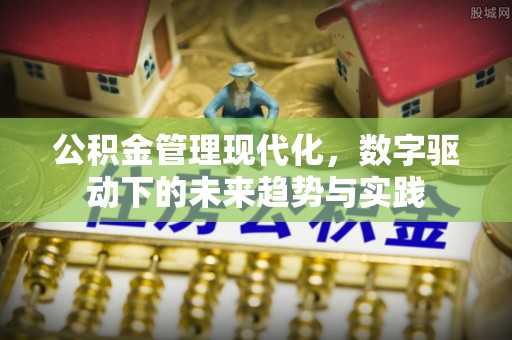 漠河公积金管理现代化，数字驱动下的未来趋势与实践