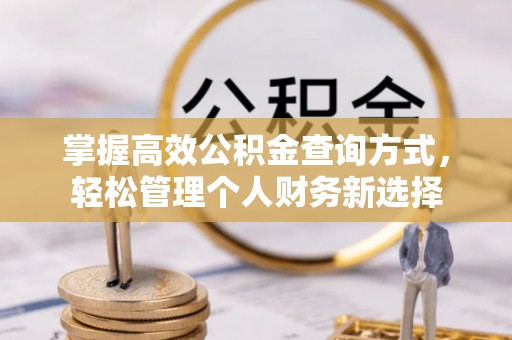 漠河掌握高效公积金查询方式，轻松管理个人财务新选择