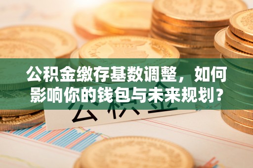 漠河公积金缴存基数调整，如何影响你的钱包与未来规划？