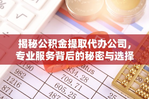 漠河揭秘公积金提取代办公司，专业服务背后的秘密与选择指南