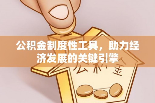 漠河公积金制度性工具，助力经济发展的关键引擎