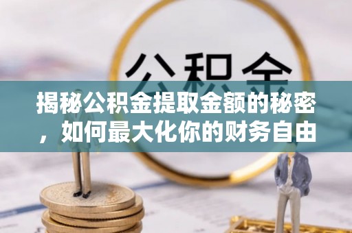 漠河揭秘公积金提取金额的秘密，如何最大化你的财务自由