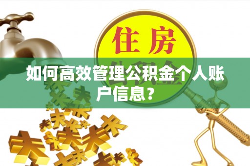 漠河如何高效管理公积金个人账户信息？