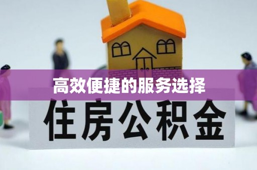 漠河高效便捷的服务选择